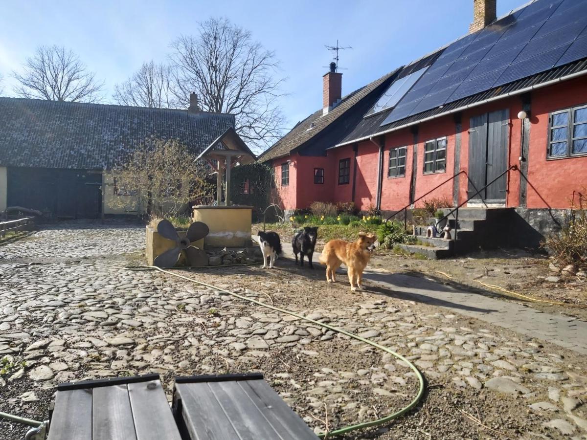 Bolshavnvej5 Bed & Breakfast Dış mekan fotoğraf